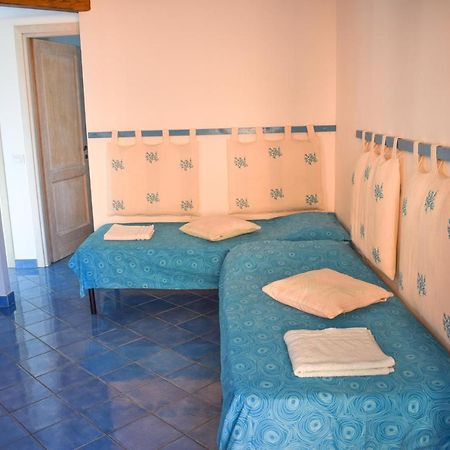 Tiffany Palau Bed & Breakfast Ngoại thất bức ảnh