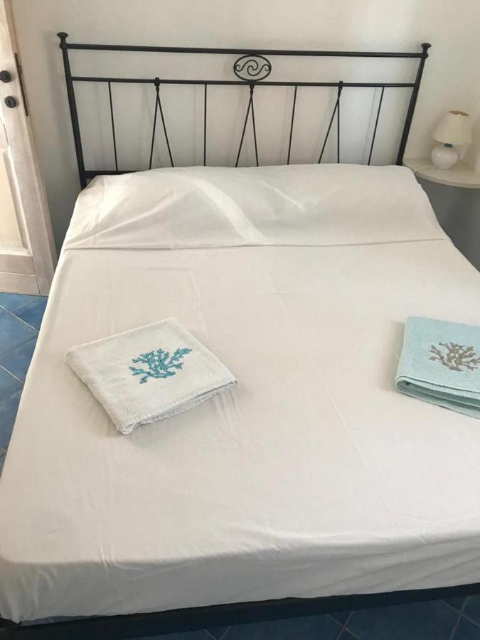 Tiffany Palau Bed & Breakfast Ngoại thất bức ảnh