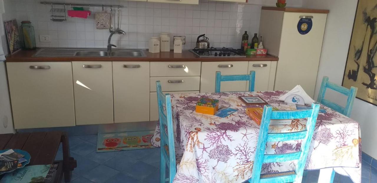 Tiffany Palau Bed & Breakfast Ngoại thất bức ảnh